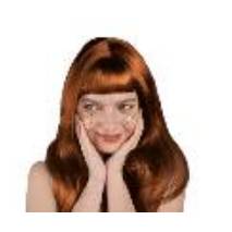 Wig, long hair, ginger (1 pkt / 1 pc.)